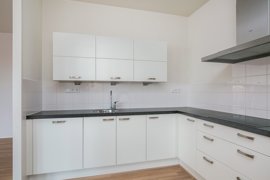 disselhof-50-16.jpg