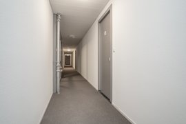 03.jpg