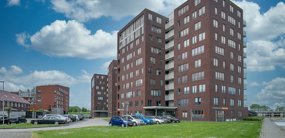 Reitdiephaven 448