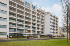 02.jpg