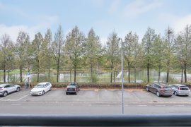 argusvlinder-82-24.jpg