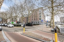 1621692-proftulpplein81018gxamsterdam-02.jpg