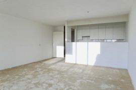 05.jpg