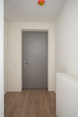 278391-10.jpg
