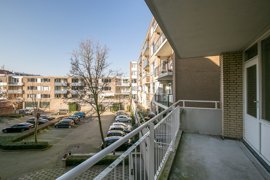 26.jpg