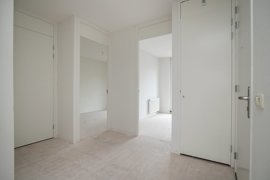 04.jpg