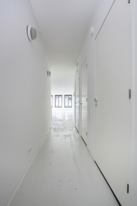 Image 13