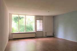 img-1919.jpg