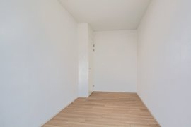 disselhof-50-23.jpg