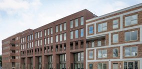 Punt Sniep 204
