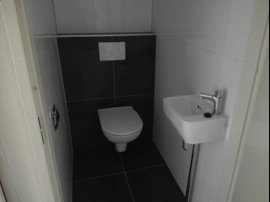 toilet.jpg